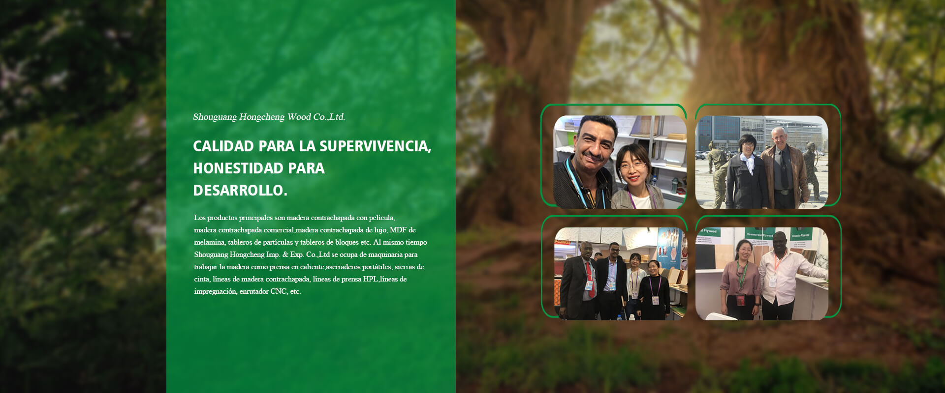 the export of plywood solution